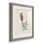 Traditional Botanical I - Ensemble de 4 peintures encadrées-1560402224-1560402377