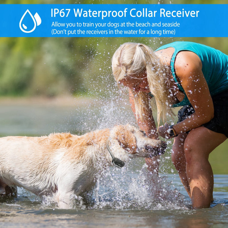 Rechargeable Dog Shock Collar