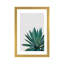« agave cactus »-impression photographie-49905629-49905633