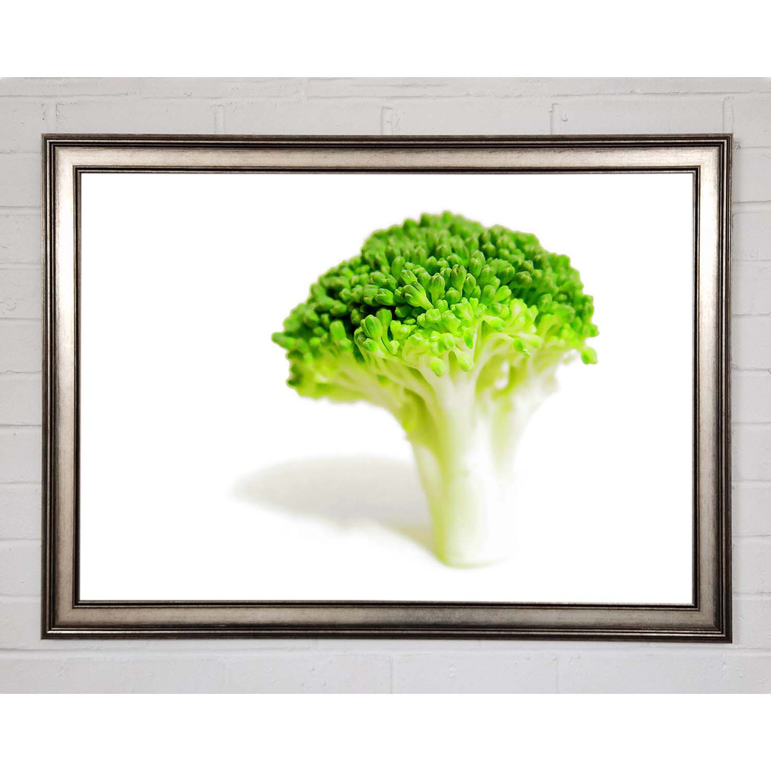 Brocolli Stängel - Druck