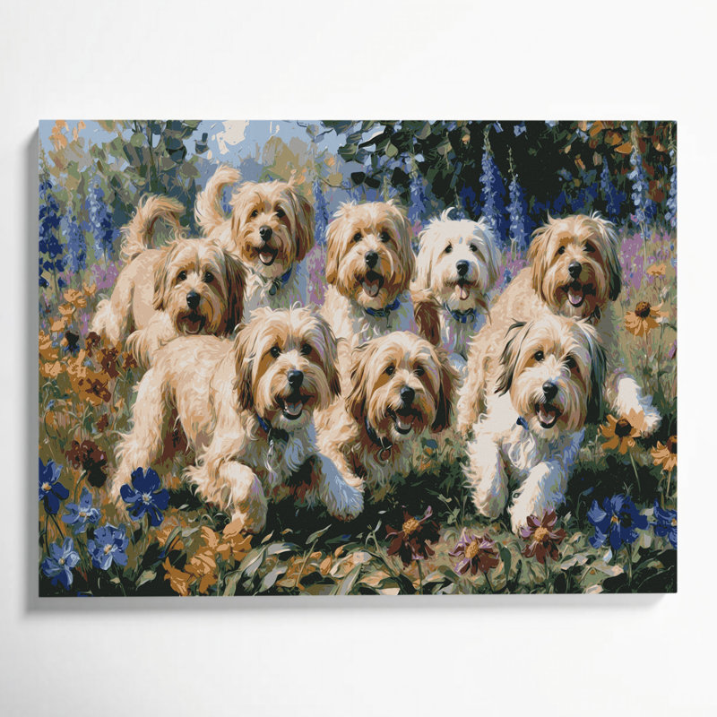 Chiens havanais gris, art mural sur toile, H 11 po x l 14 po