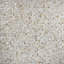 Conchella Square Natural 12" x 12" Natural Shell Mosaic Tile