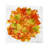 Fallen Leaves Cotton Sateen Cocktail Napkins-122066671
