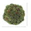 Boules de Sedum décoratives-306876331