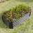 421Ft Black Metal Raised Planter For Plants, Stable Structure, - Rust Coating Rectangle Plants And Flowers, Black, & Long Lasting-932895768-932895769