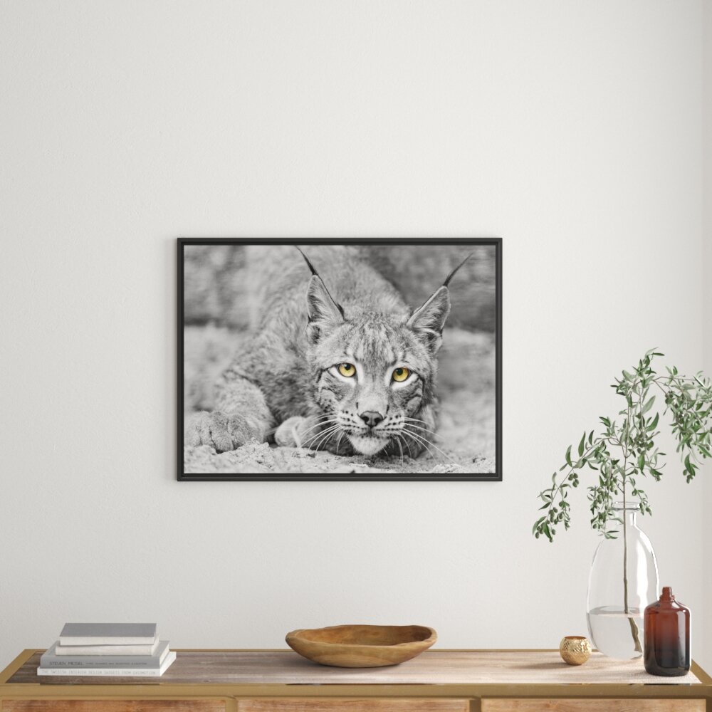 Gerahmtes Wandbild schöner wachsamer Luchs