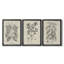 Antique Black and White Botanical VII - Ensemble de 3 peintures sur toile encadrées-1460172362-1460172373