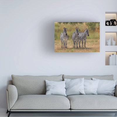 David Stribbling DAVSTR125634 Canvas Art
