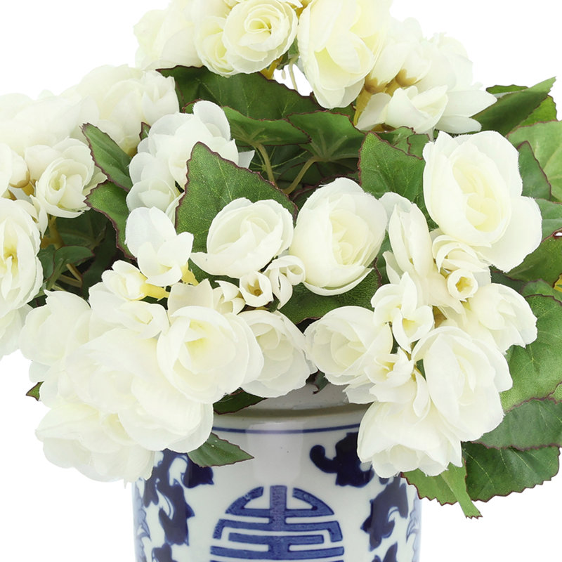 Begonia Arrangement In Ornamental Ceramic Vase, White