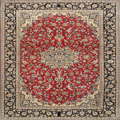 Anaiya Oriental Indoor Rug