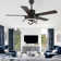 Eustolio 52'' DIY Shade Reversible Caged Ceiling Fan with Dimmable LED Light and Remote