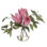 Protea, Pink, Glass Vase, 22wx12dx15h