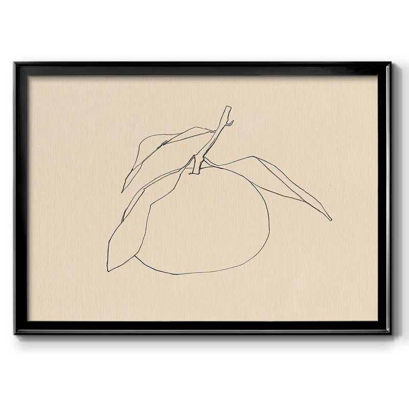 «Lamoth Citrus Contour I», reproduction d'art sur toile, H 14 po x l 20 po x P 1,5 po, Black Framed Canvas