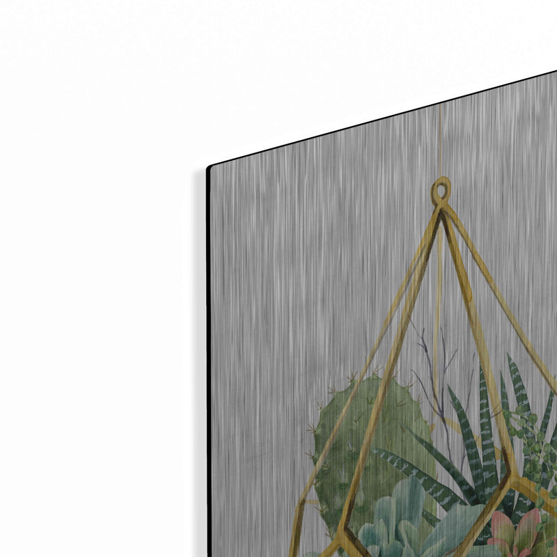 «Wild Terrarium II» par Grace Popp, H 24 po x l 16 po