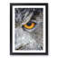 Eye of an Owl - Picture Frame Painting Print-56853011-56853012