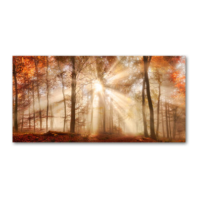 Fog In The Autumn Forest - Wrapped Canvas Print