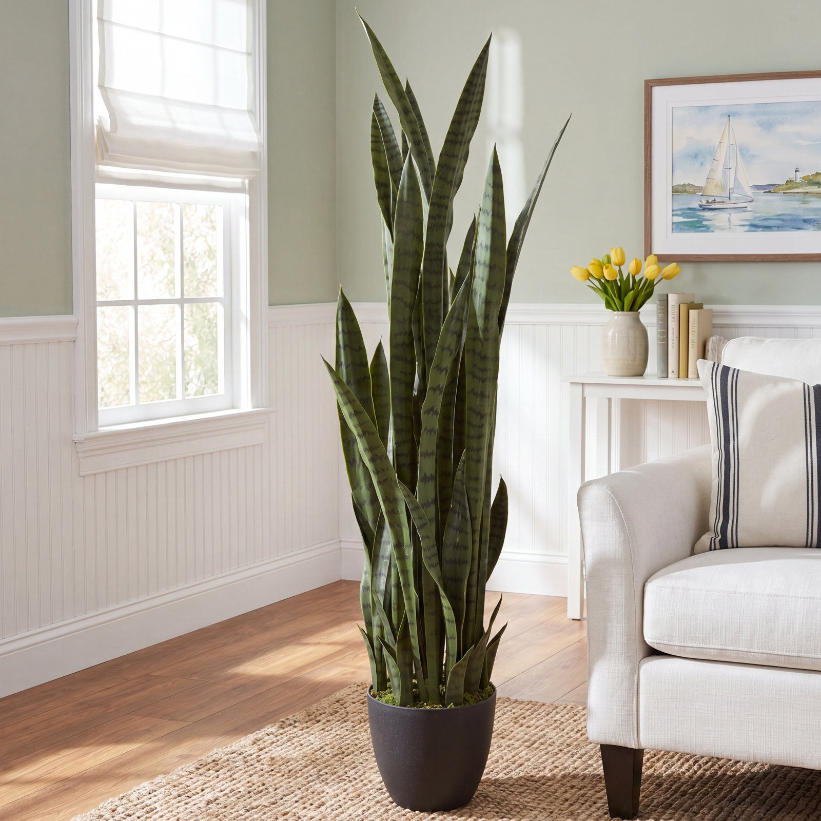 Snake Plant in Pot, Green, 48" H x 9" W x 9" D