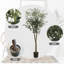 Faux olivier Ahrens pour bureau, salon, patio type A-574370767