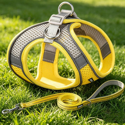 Grey Yellow Mesh Step-in Puppy Harness with Matching 1.5m Flat Leash, XXXS Teacup Dog Vest Fit Tiny Pets 1-3lbs, Chest Girth 24-28cm