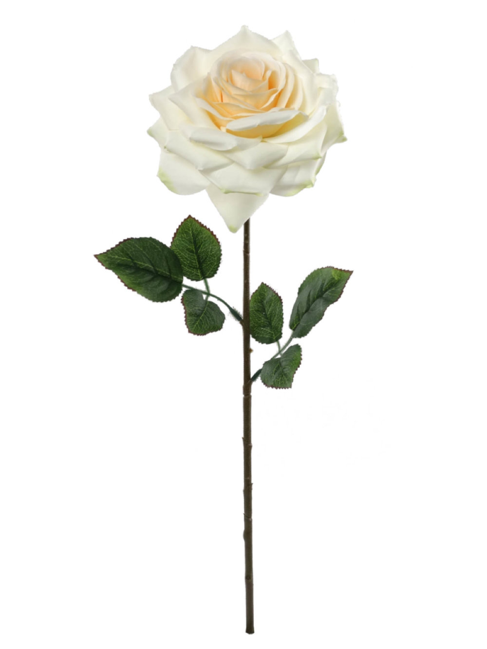 Primrue Ortiz Roses Stem | Wayfair