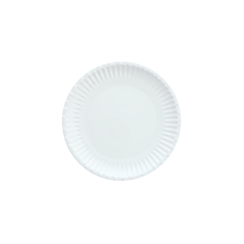 Street Eats Paper Dinner Plate