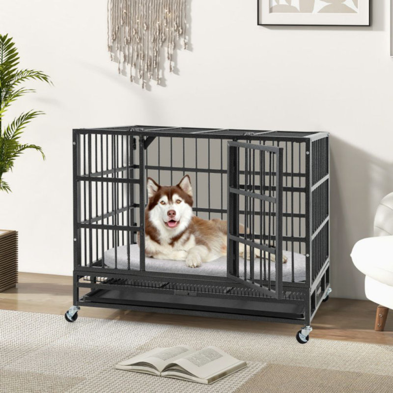 Cage à chien pliable en métal robuste avec roulettes verrouillables et plateau, H 30 po x l 38 po x P 26 po
