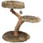Cram 75cm H Cat Tree
