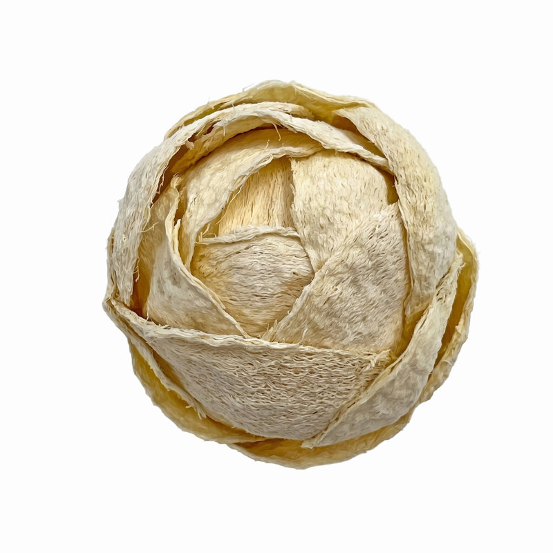 Jayceon Box of 4 Preserved Decorative Pinecone Orbs – Matte White