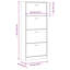 12 Pair Flip Down Shoe Storage-1524619311