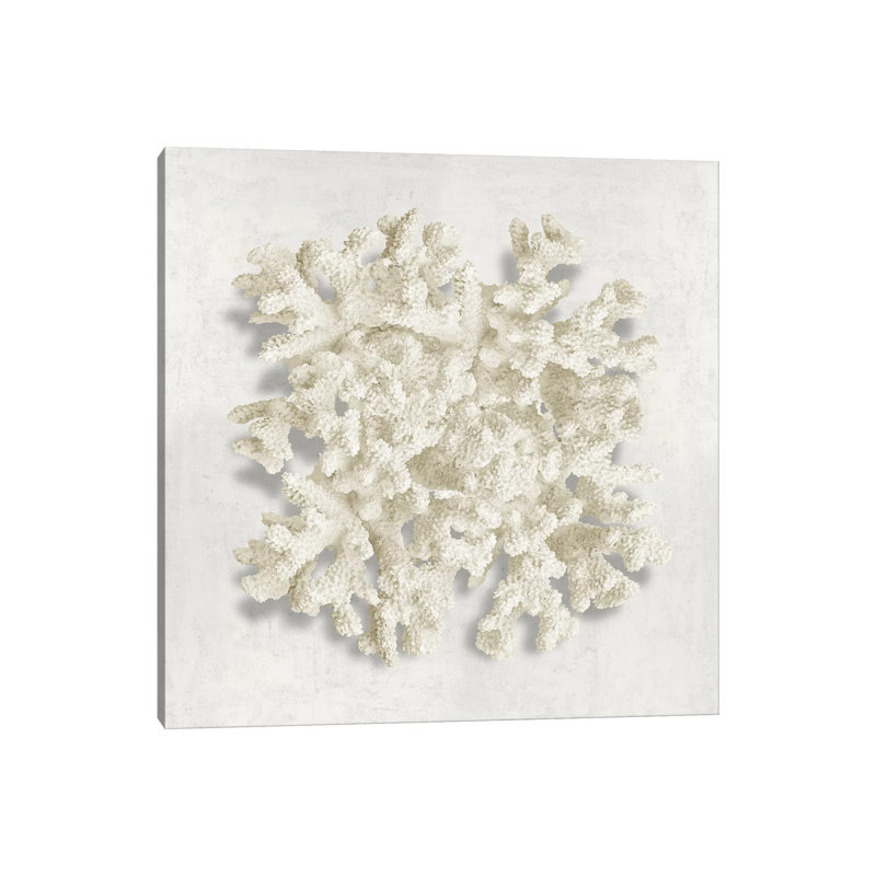 Coral II - Wrapped Canvas Print, 30.48 cm H x 30.48 cm W