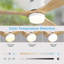 132cm Ceiling Fan with LED Lights