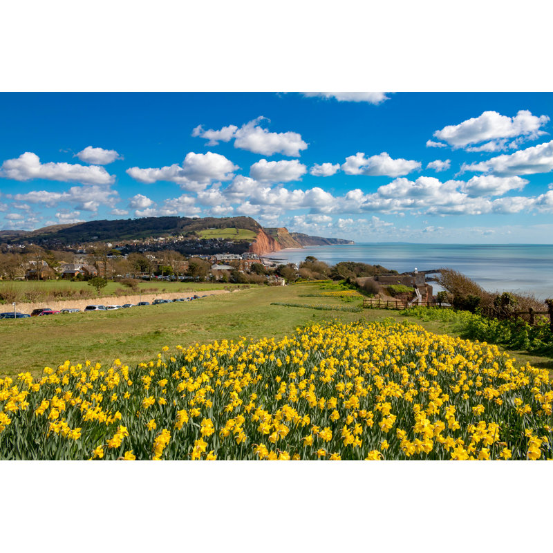 Sidmouth, Dorset, England - Photographie sur toile tendue, H 32 po x l 48 po