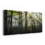" Light And Trees " 3 - Pieces-569764172