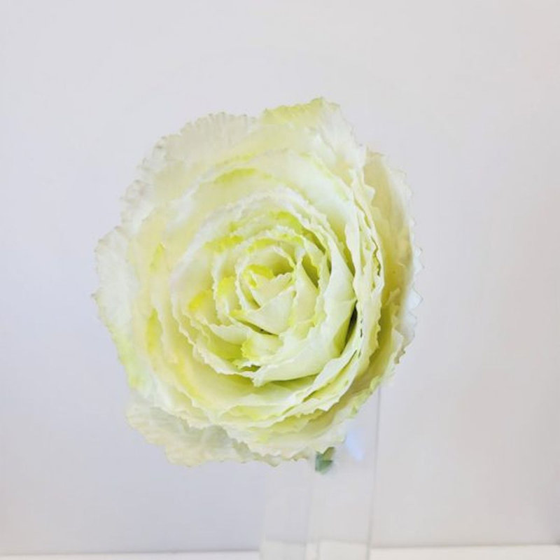 Tige de fleur de chou
