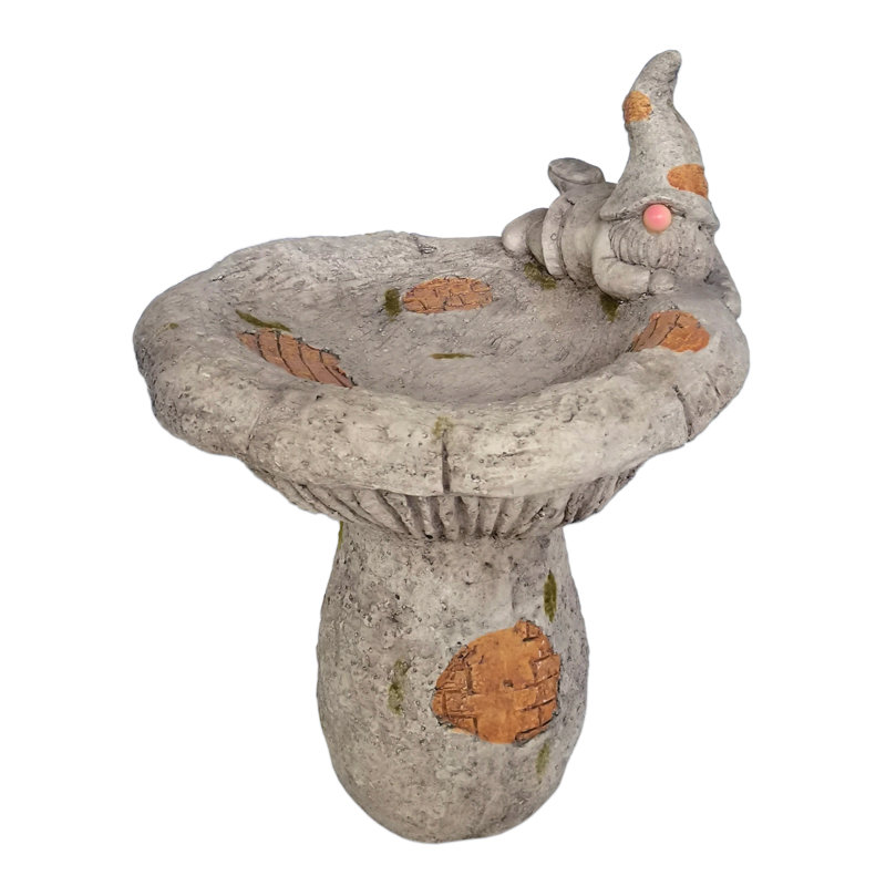 Bain d'oiseaux Broc Gnome