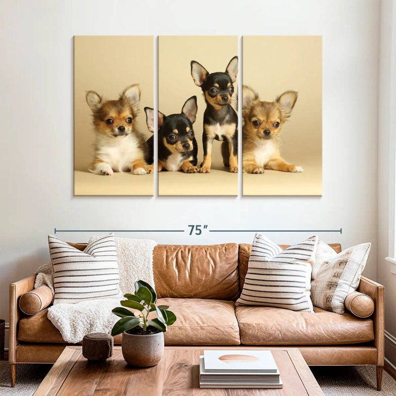 Brampt adorables chihuahua, H 20 po x l 33 po