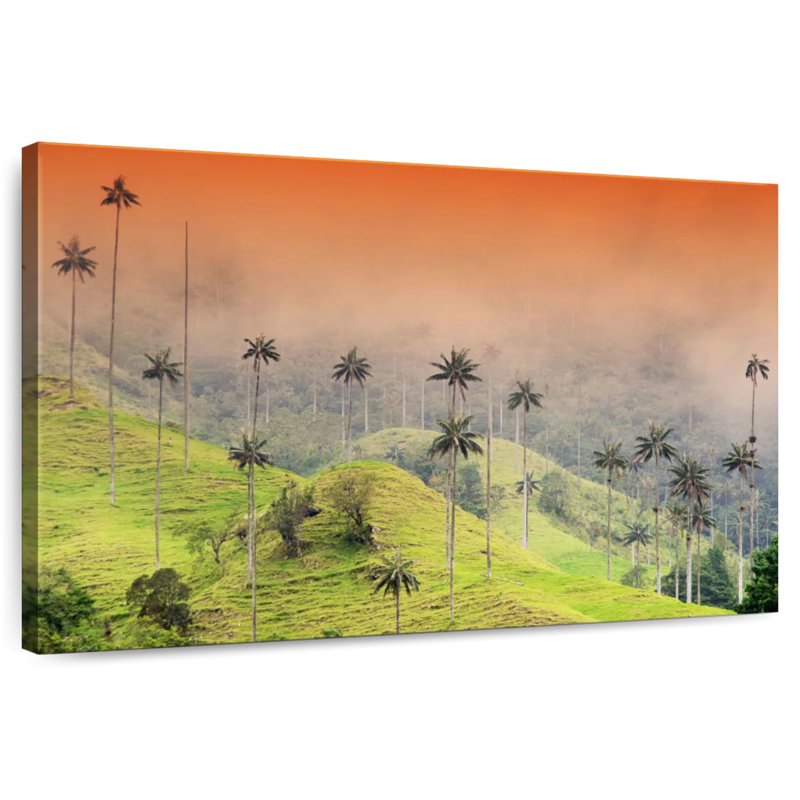 Palmiers Alvord Cocora Valley, H 32 po x l 48 po