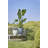 Aletriz Ceramic Pot Planter