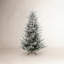 Sapin de Noël givré-63647327