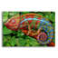  «Caméléon panthère avec fond» par Tim Jeffs, art mural en verre acrylique, 24 po x 16 po-1475555687