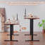 Electric Standing Desk Height Adjustable Desk Sit Stand Desk With Time Reminder Stand up Desk 2 Memory Setting Electric Desk -1206005183-1206005180