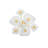 Holmdel 6 Light Semi Flush