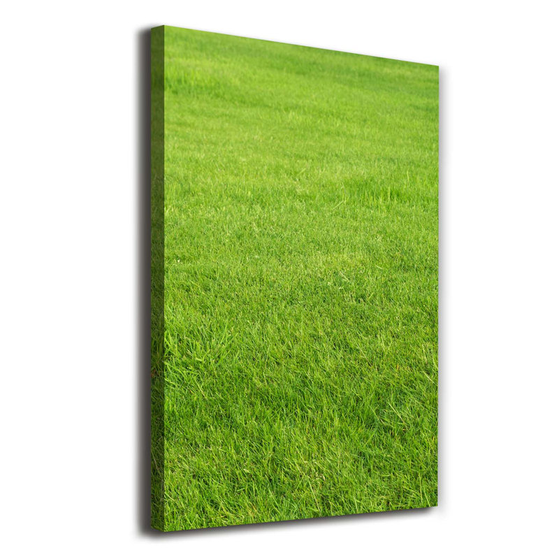 Green Grass - Wrapped Canvas Print