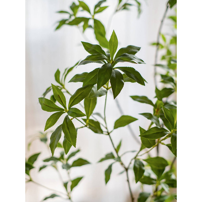 Ornement décoratif d'intérieur et d'extérieur de verdure artificielle minimaliste Pieris Japonica