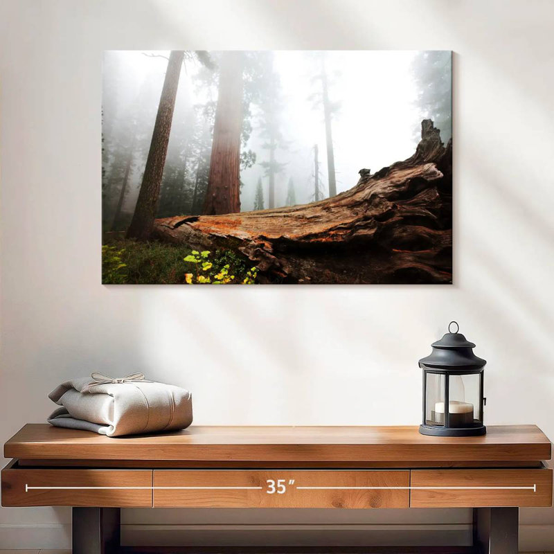Harnek Fallen Sequoia Tree, 16" H x 24" W