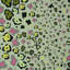 Leopard Lights Linen Fabric-1286344720