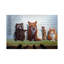 Usual Suspects by Lucia Heffernan - Print on Canvas-1191671305-1077840311
