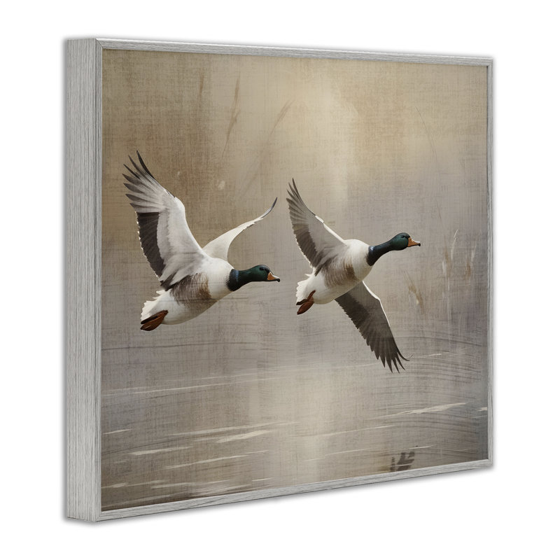 «Mallard Ducks over Pond», dessin de Susan Arnot, H 24 po x l 30 po, Giclée de ferme grise encadrée