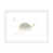 White Framed Paper