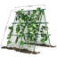 Cadre en treillis en métal vert de 4 pi x 4 pi avec filet, support pliable sans outil pour les concombres, les tomates, les pois et les haricots